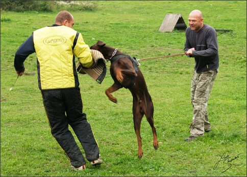 Training in Prague 10/2007